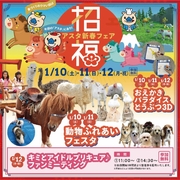 アスタ新春フェアのメイン画像