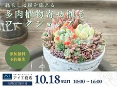 佐野CRT展示場　暮らしに緑を添える 多肉植物寄せ植えのメイン画像