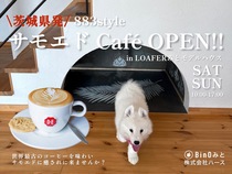 【アニマルBinO】883style サモエドCafé 毎週土日 OPEN！！のメイン画像