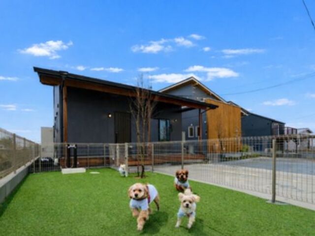 【アニマルBinO】最終１棟販売会｜ちょうどいい2階建てLOAFER｜千葉県木更津市牛込のメイン画像