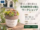  アイパーク横手（複合型住宅展示場）　暮らしに緑を添える 多肉植物寄せ植えのメイン画像