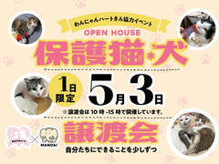保護猫・犬譲渡会のメイン画像