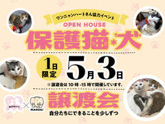 保護猫・犬譲渡会のメイン画像