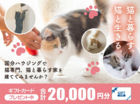 【全店舗開催】大好きな猫と暮らすおうちづくり相談会のメイン画像