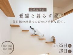 【完成見学会】愛猫と暮らす家～猫目線の設計でのびのび元気な暮らし～のメイン画像