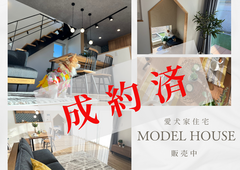 愛犬ともっと心豊かに暮らす家！「愛犬家住宅」のメイン画像