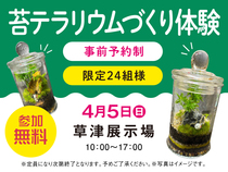 草津展示場　苔テラリウムづくり体験！　来場予約のメイン画像