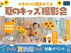 アイギャラリー仙台　ひまわりに囲まれて♪夏のキッズ撮影会のメイン画像