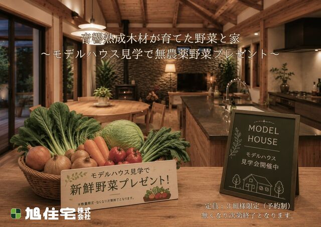 モデルハウス見学で無農薬やさいプレゼントのメイン画像