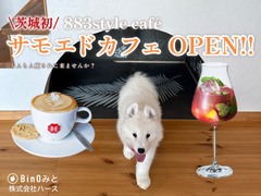 【アニマルBinO】883style サモエドカフェ 毎週土日 OPEN！！のメイン画像