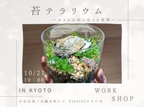 苔テラリウムWORKSHOPのメイン画像
