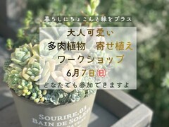 【宮古市】大人可愛い多肉植物の寄せ植えのメイン画像