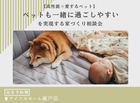 【瀬戸店】ペットも一緒にすごしやすい相談会のメイン画像