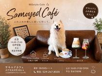 【アニマルBinO】883style サモエドカフェ 毎週土日 OPEN！！のメイン画像