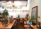 いりまさカフェ｜雨の季節を楽しむインナーグリーン販売会のメイン画像