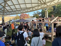 11月16日 暮らしを楽しむmarketのメイン画像