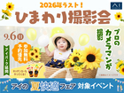 アイパーク延岡　2026年ラスト！ひまわり撮影会 プロのカメラマンが撮影のメイン画像