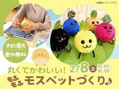 鳥栖展示場　もふもふ♪モスペットを作ろう　ワークショップのメイン画像