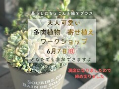 【宮古市】大人可愛い多肉植物の寄せ植えのメイン画像