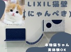 【練馬区】LIXIL猫壁(にゃんぺき)　本物猫ちゃん実体験OKのメイン画像