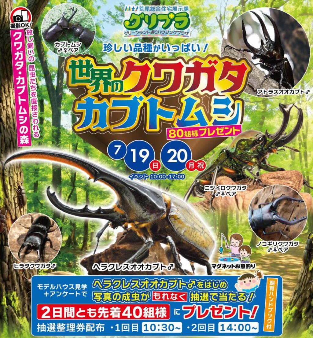 KKT荒尾展示場 世界のクワガタ・カブトムシ！！｜アイ工務店 熊本第一支店