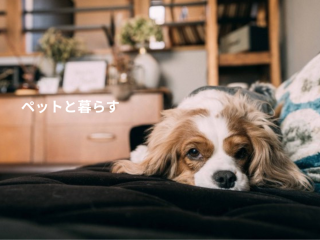 『自分らしく、自遊にくらす』＂自分らしさPlus 応援キャンペーン＂開催のメイン画像