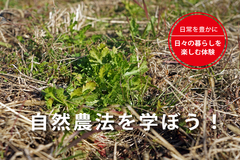 自然農法講座（第28回）「冬の畑管理」のご案内のメイン画像