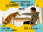 【災害時のペットの安全が不安、、】在宅避難に強い家 相談会｜鹿屋店のメイン画像