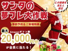 サンタの夢プレ大作戦🎅🎄のメイン画像