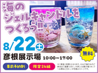 彦根展示場　海のジェルキャンドルをつくろう！　来場予約のメイン画像