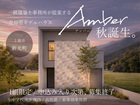 一級建築士事務所が提案する売却型モデルハウス【Amber】のメイン画像