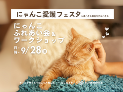 猫が主役の楽しい１日！にゃんこ愛護フェスタのメイン画像