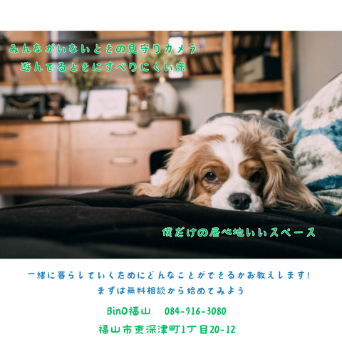 無料相談会『ペットと快適に暮らす家』のメイン画像