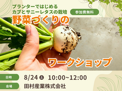 【田村市船引町】野菜づくりのワークショップ、プランターではじめるカブとサニーレタスの栽培のメイン画像
