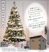 <今治市>衣干町モデルハウス販売 Xmas現地商談会のメイン画像
