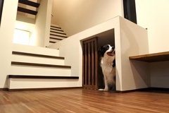 【ペットを飼っている方向け】動物も快適に暮らせる家づくり12/1～12/26までのメイン画像