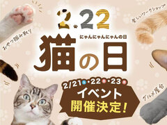 2/21・22・23｜わんにゃんイベント開催決定！のメイン画像
