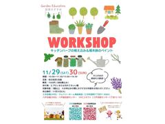 【11/29*三沢会場】日常が変わる！キッチンハーブの植え込み体験★のメイン画像