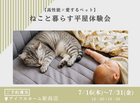 ねこと暮らす平屋体験会のメイン画像