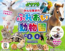 KKT荒尾展示場　ふれあい動物園のメイン画像