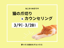 ねこ想いの安心ケア♪ねこのつめきりやさん＆カウンセリングのメイン画像