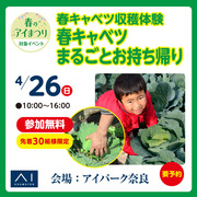 アイパーク奈良　春キャベツ収穫体験のメイン画像
