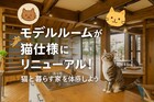 【富山】猫好き必見！癒しの猫仕様モデルルーム、猫と暮らす家を体感♪のメイン画像