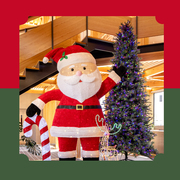 KItONOKO Christmas Festival 2025のメイン画像