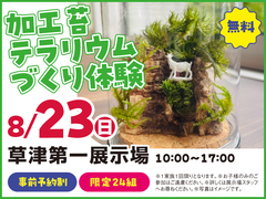草津第一展示場　加工苔テラリウムづくり体験！　来場予約のメイン画像