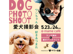 愛犬撮影会inドッグカフェ【南大阪店】のメイン画像