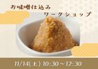 【満員御礼】お味噌仕込みワークショップのメイン画像