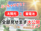 💡迷ったらココ‼️太陽光と蓄電池☀️【宇都宮東店】全部見せます大公開フェア🎉のメイン画像