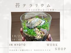 苔テラリウムWORKSHOPのメイン画像