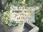 【宮古市】6月　マイホーム資金・補助金活用セミナーのメイン画像